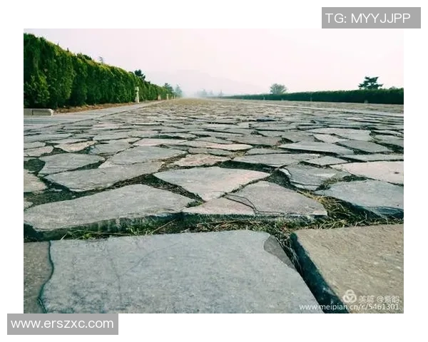 李强的排球人生深度对话探寻运动背后的坚持与梦想